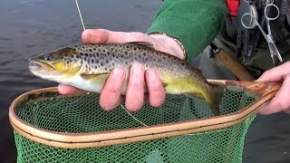 How to fly fish for Wild River Brown Trout in IrelandTips amp Methods [upl. by Ynehpets867]