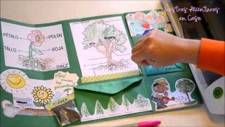 Lapbook Las Plantas [upl. by Aidiruy]