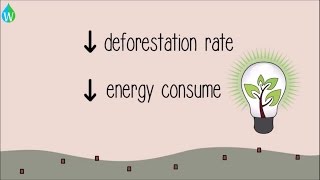 The environmental benefits of paper recycling  WELS Waterpedia Environmental Learning Series [upl. by Ahsiuqram]