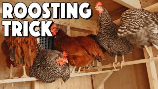 Chicken Roosting Bars Ideas To Help Your Flock Roost  Special Trick That SAVED Us [upl. by Peter]