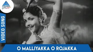 Makkalai Petra Magarasi Tamil Movie Songs  O Malliyakka O Rojakka Video Song  KV Mahadevan [upl. by Senalda]