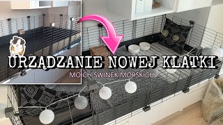 URZĄDZANIE NOWEJ KLATKI moich świnek morskich🐷🏡 [upl. by Annairam626]