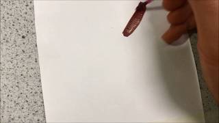 Stippling and blending with acrylic paint [upl. by Sanjiv]