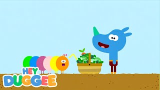 Bugs with Duggee  Duggee Best Bits  Hey Duggee [upl. by Ahsirt]