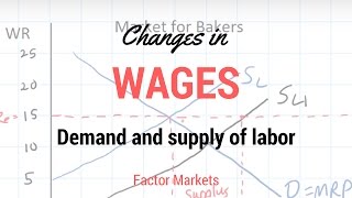 Labor Markets  Change in in Equilibrium Wage Rate and Level of Employment [upl. by Nnaillij]