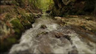 Relaxing Rain amp Soothing River Sounds Near a Beautiful Waterfall in the Rocky Mountains  10 Hours [upl. by Noryv936]