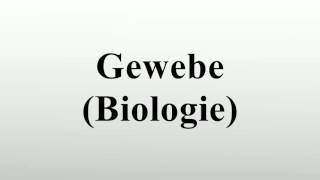 Gewebe Biologie [upl. by Nossaj]