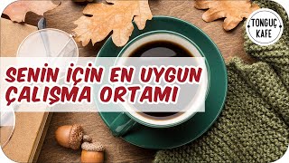 Ders Çalışırken Odaklanmanı ve Konsantrasyonunu Artıracak Müzikler  2 Pomodoro  Tonguç Kafe [upl. by Debi751]