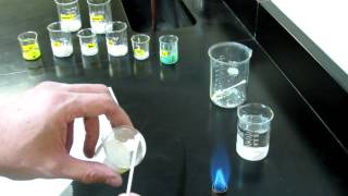 Flame Test Lab [upl. by Revart626]