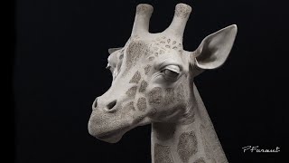 Sculpting Animals Giraffe [upl. by Sidwel]