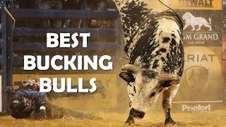 Best Bucking Bulls Ever [upl. by Revorg]