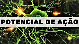 Potencial de ação  Fisiologia Humana [upl. by Alauqahs]