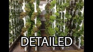 How to  Detailed Vertical Hydroponics [upl. by Admana270]