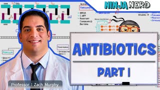 Antibiotics Cell Wall Synthesis Inhibitors Part 1 [upl. by Ialocin]