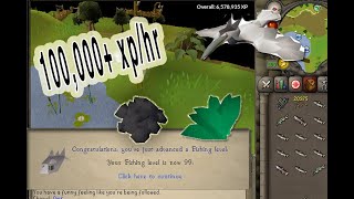 OSRS How to 3 Tick Barbarian Fish  THE EASIEST WAY [upl. by Gnem]