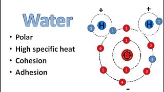 Water Chemistry [upl. by Jasmin331]