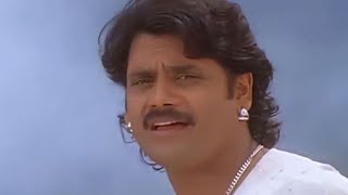 Rakshakudu Video Songs  Chanduruni Takinadi  Nagarjuna Sushmita Sen  Full HD [upl. by Jany948]