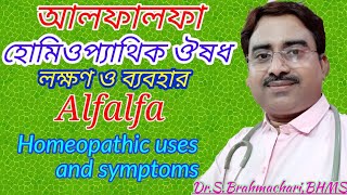 Alfalfa benefits  alfalfa Q  alfalfa homeopathic medicine uses in bengali language [upl. by Anerbas]