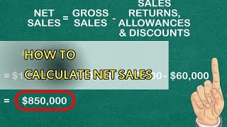 Guide how to calculate net sales [upl. by Kermie]