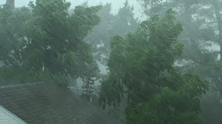 Heavy Rain and Wind Sounds For Sleeping  Relaxation  10 Hours [upl. by Akirdnwahs]