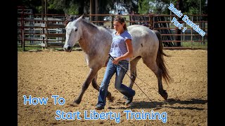 How To Start Liberty Training With Your Horse Basic Exercises Part 1 [upl. by Feinberg]