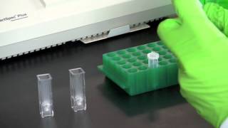 DNA Quantitation Using a Spectrophotometer [upl. by Ennayhc]