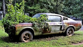 25 CARROS ABANDONADOS QUE VOCÊ NÃO VAI ACREDITAR [upl. by Aivekahs]