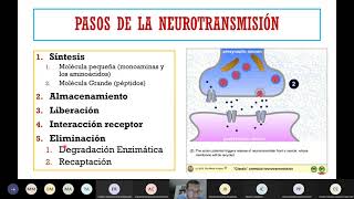 Neurotransmisores y neurotransmisión [upl. by Bannasch]