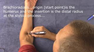 Meridian Pen Electric Acupuncture pen and how it works [upl. by Ailesor]