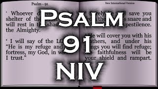 Psalm 91  New International Version NIV [upl. by Nahtanohj]