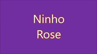 Ninho  Rose Lyrics Paroles [upl. by Nemajneb]