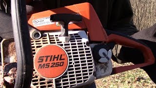 Stihl Ms250 Is it worth it [upl. by Fredie]