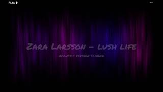 Zara Larsson  lush life acoustic version slowed Lyrics [upl. by Karl]