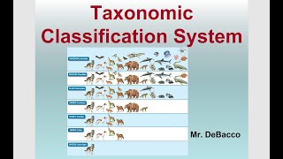 Taxonomic Classification [upl. by Ainek960]