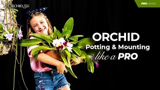 Orchid Potting and Mounting like a Pro [upl. by Franny661]