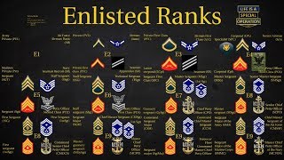 US Military All Branches ENLISTED Ranks Explained [upl. by Gainor]