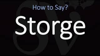 How to Pronounce Storge CORRECTLY LOVE Meaning amp Pronunciation [upl. by Rhiamon]