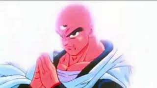 Super Buu vs Tien [upl. by Anelys]