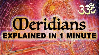 What are Meridians  Explained in 1 minute  01 [upl. by Uzial446]