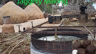 Traditional Jaggery Making Process  Jaggery Making Step By Step [upl. by Eimat]