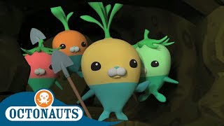 Octonauts  The Vegimals Save the Day  Full Episodes  Cartoons for Kids [upl. by Trebuh587]