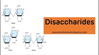 Disaccharides Classification And Biomedical Importance  Disaccharides Biochemistry [upl. by Larrisa334]