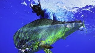 Spearfishing with Cameron Kirkconnell Riffe Pole Spear How To [upl. by Notsuoh222]