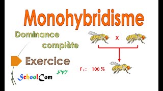 Exercice Monohybridisme  dominance complète [upl. by Pallaton]