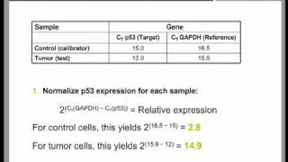 Real Time QPCR Data Analysis Tutorial part 2 [upl. by Terb967]