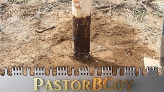 DIY Treating a Fence Post The Old Way [upl. by Attikin]