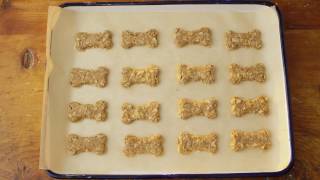 Oat Dog Treats  Quaker® [upl. by Mulford]