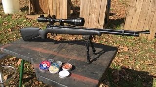 Benjamin Maximus 22 Cal Air Rifle Test Review [upl. by Erinna457]