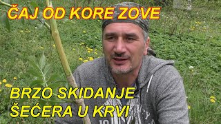 SKIDANJE ŠEĆERA U KRVI  ZOVA  BAZGA [upl. by Ingeborg]