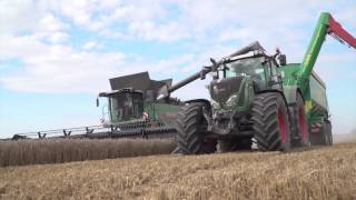 Erntezeit auf Rügen  Ein Marktfruchtbetrieb mit 1800 Hektar  Fendt [upl. by Jacobson]